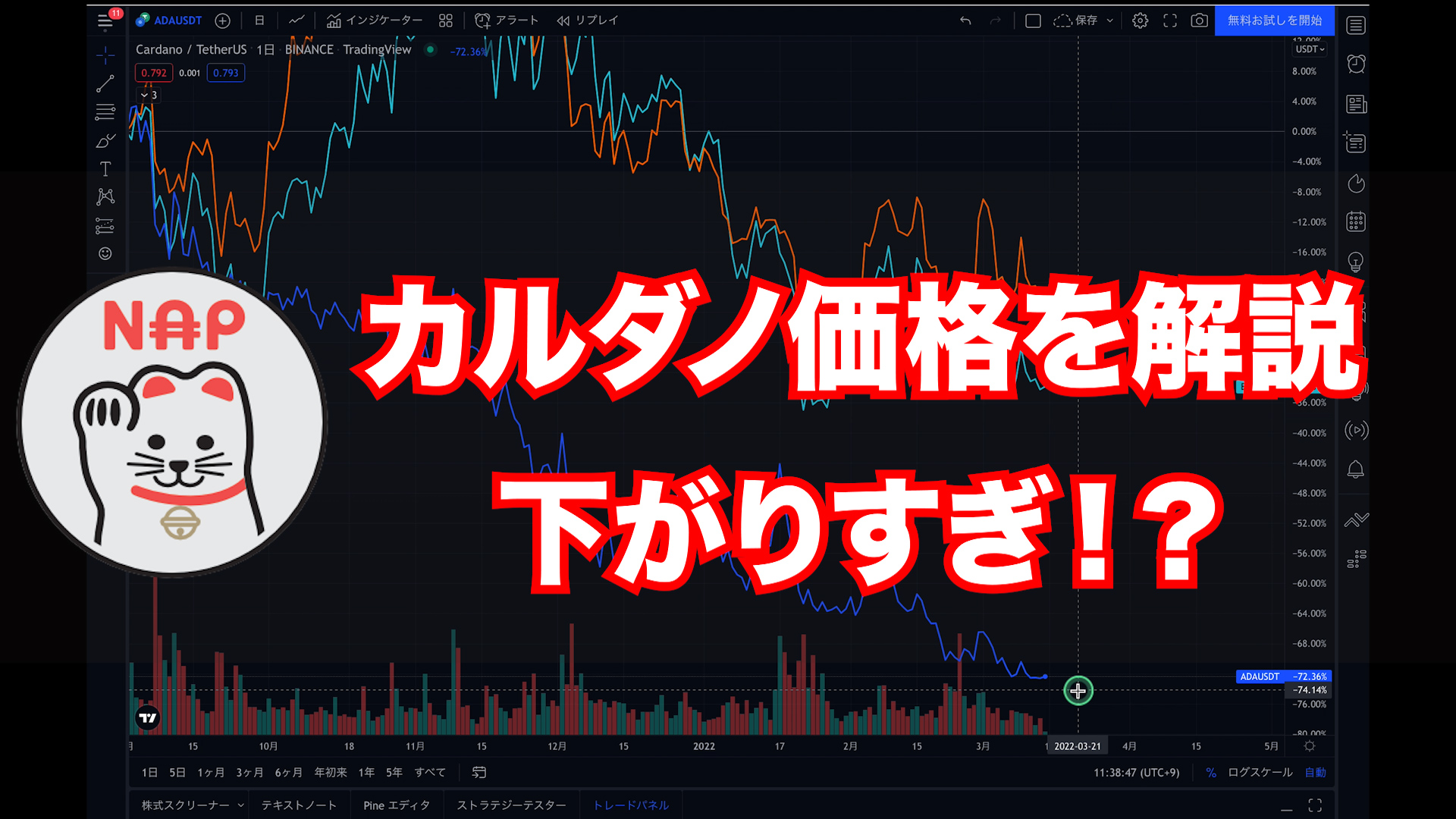 カルダノ価格を解説ーサムネイル画像