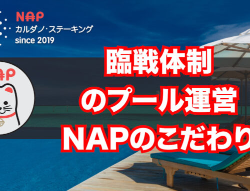 臨戦体制のプール運営　NAPのこだわり