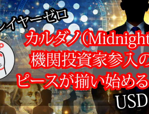 Cardano / Midnight – 機関投資参入のピースが揃い始める！？ Layer0 USDCx